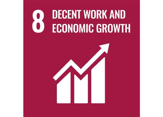 The Sustainable Development Goal number 8- decent work and economic growth 
