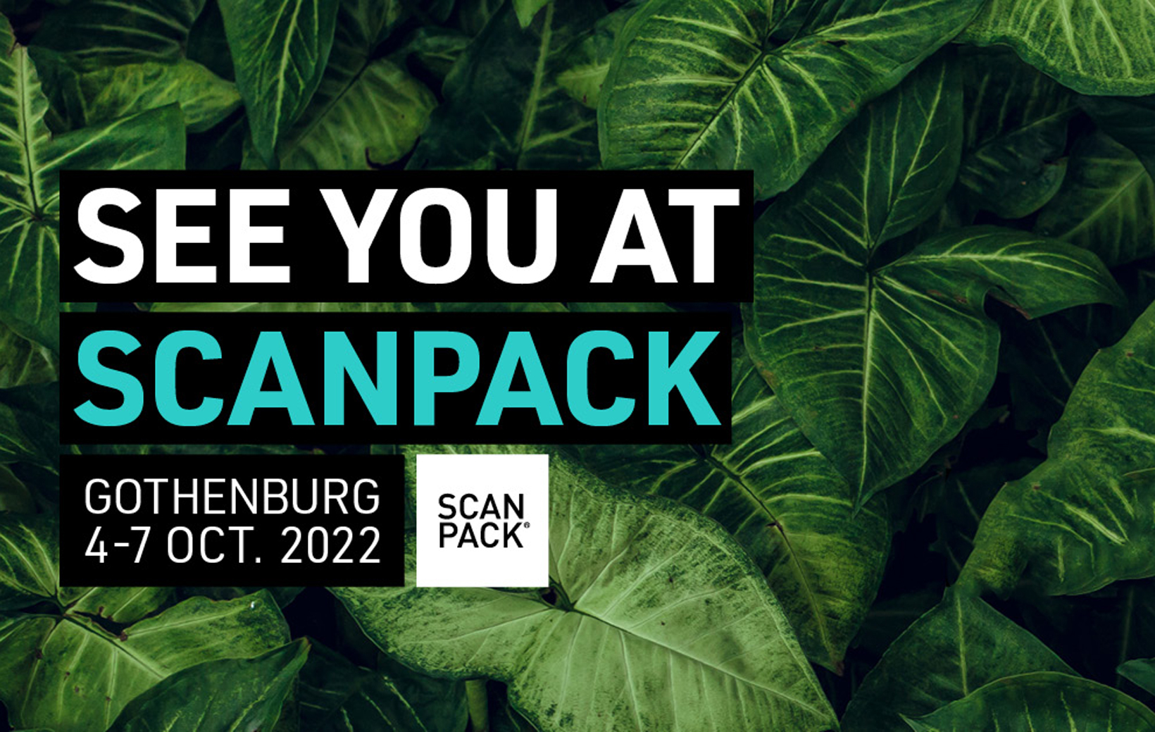 Meet Schur at Scanpack from 4th to 7th October