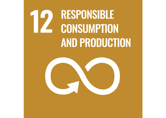 The Sustainable Development Goal number 12- responsible consumption and production