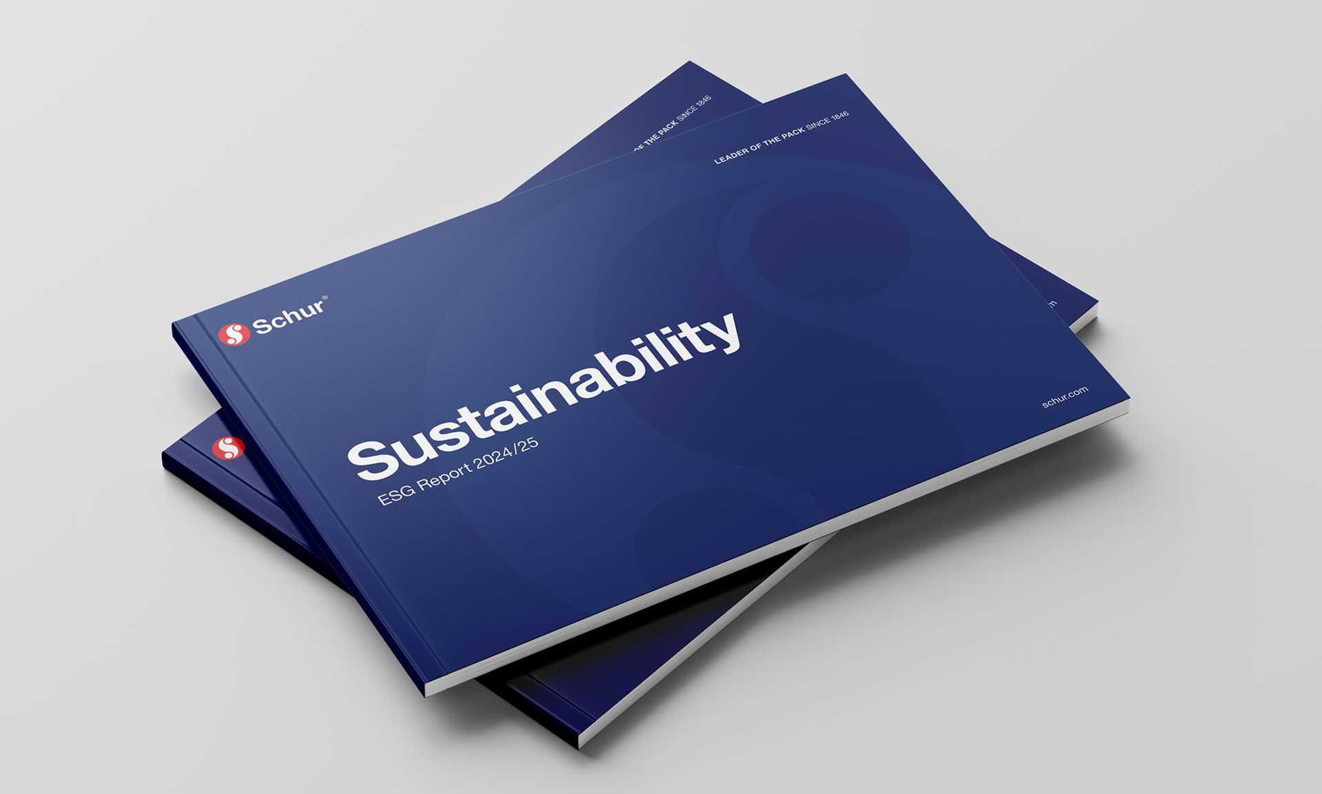  Sustainability report 2024-2025